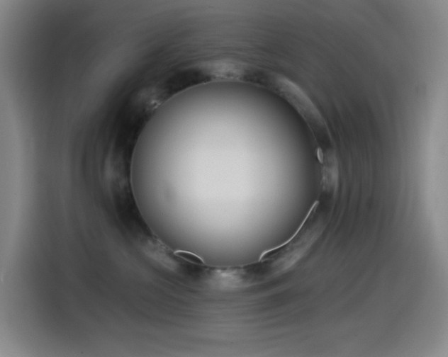 X0000114440573200910161357