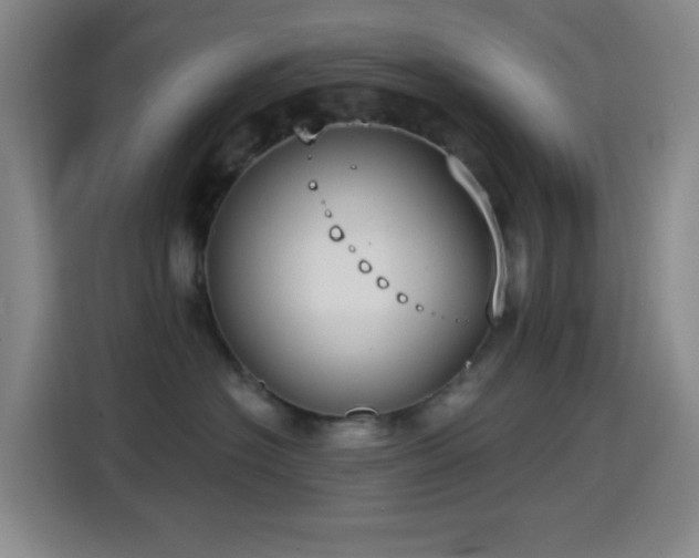 X0000114440574200910161357