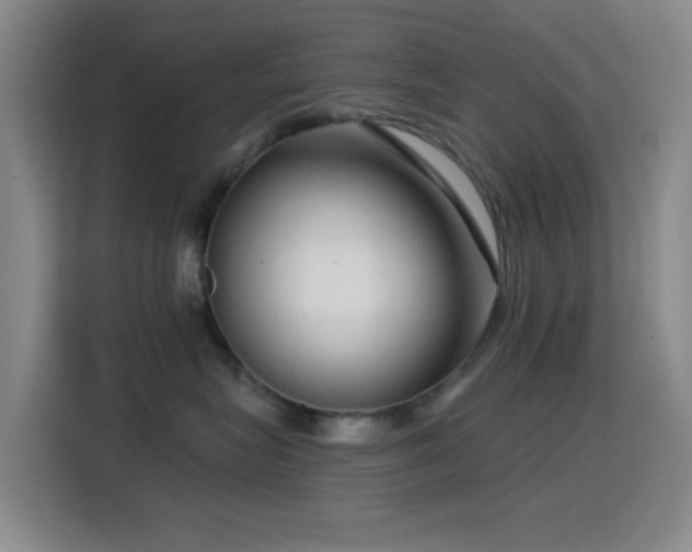 X0000114440575200910161357