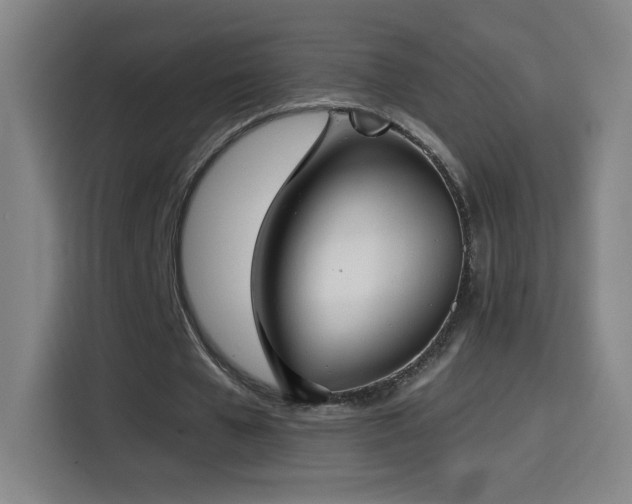 X0000114440577200910161357