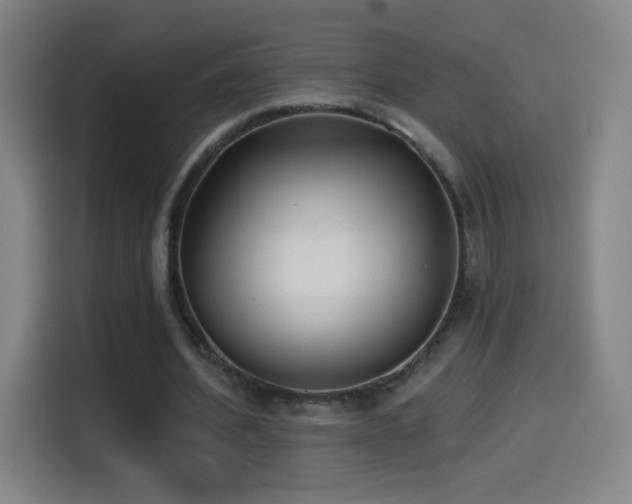 X0000114440580200910161357