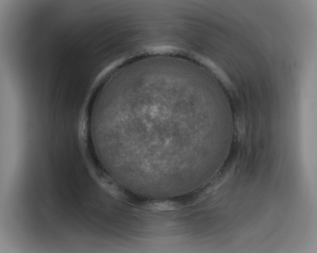 X0000114440583200910161357