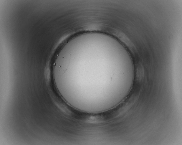 X0000114440584200910161357