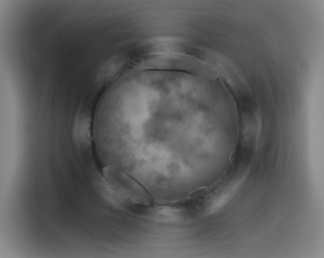X0000114440585200910161357