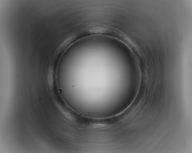 X0000114440586200910161357