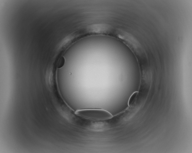 X0000114440587200910161357
