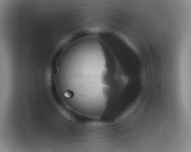 X0000114440590200910161357