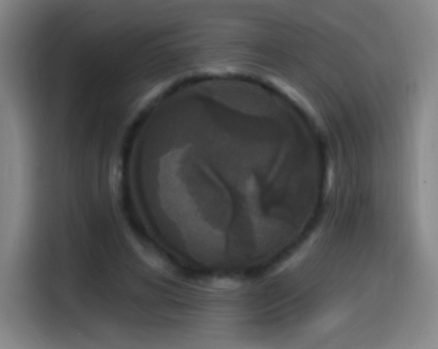 X0000114440592200910161357