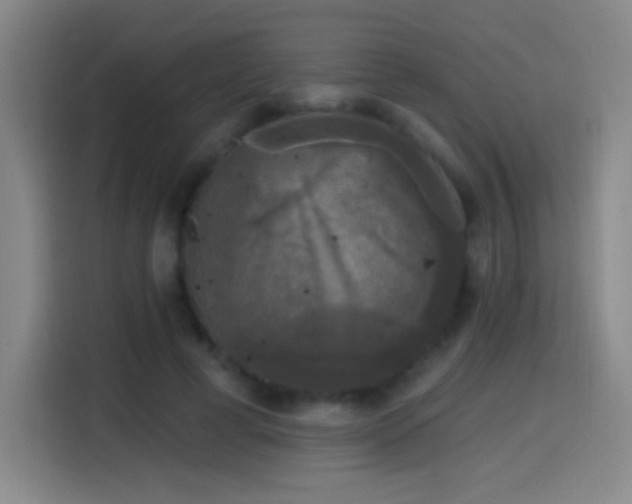 X0000114440593200910161357