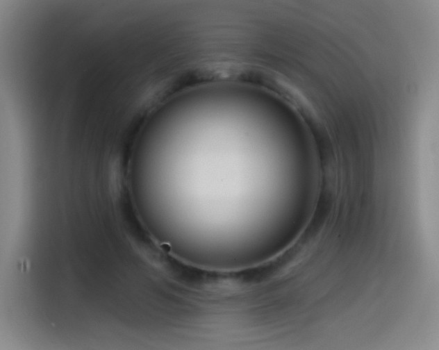 X0000114440594200910161357