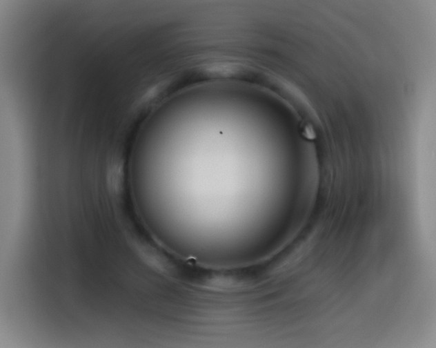 X0000114440596200910161357