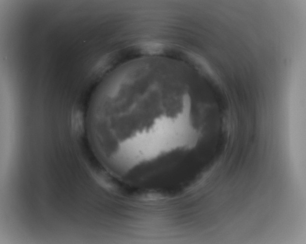 X0000114440598200910161357