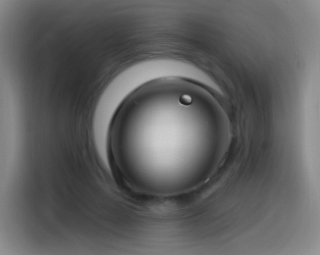X0000114440599200910161357