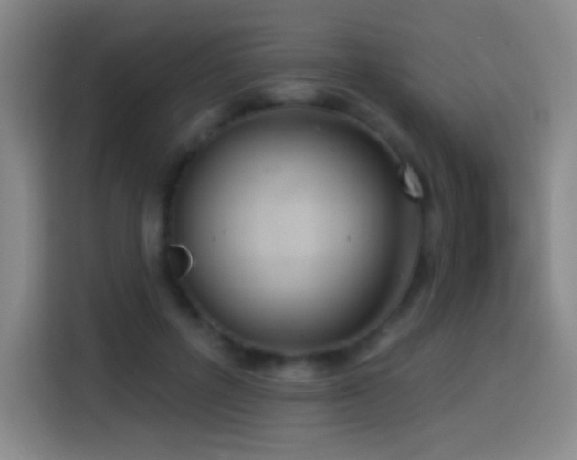 X0000114440600200910161357