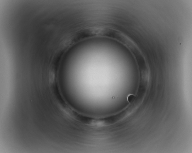 X0000114440602200910161357