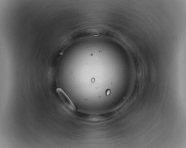 X0000114440605200910161356
