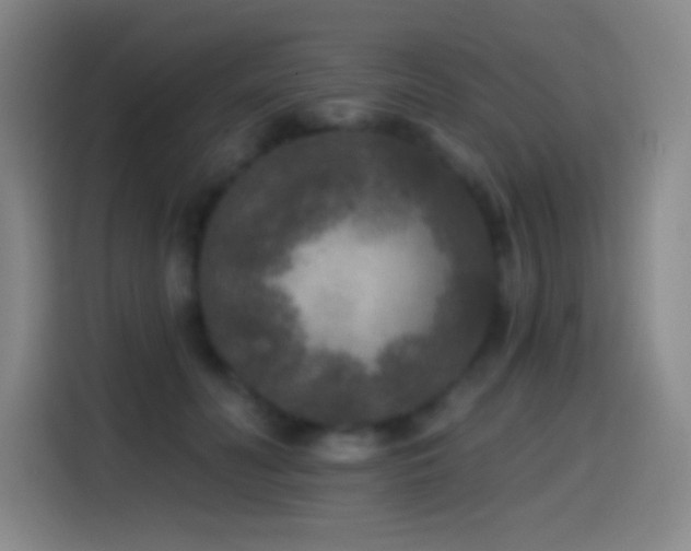 X0000114440606200910161356