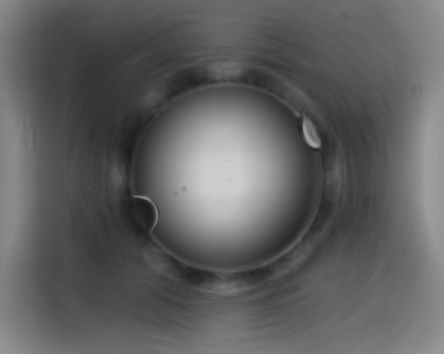 X0000114440608200910161356