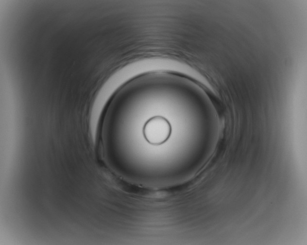 X0000114440609200910161356