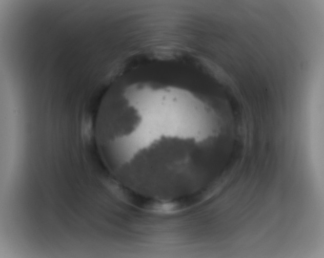 X0000114440610200910161356
