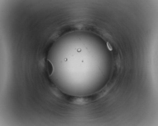 X0000114440611200910161356