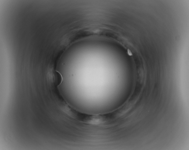 X0000114440612200910161356