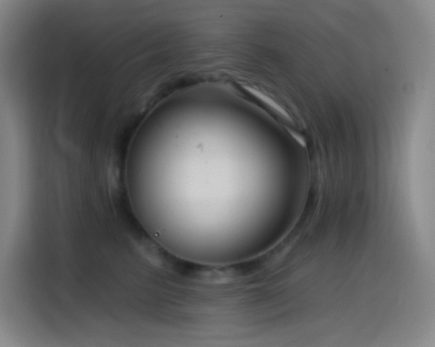 X0000114440615200910161356