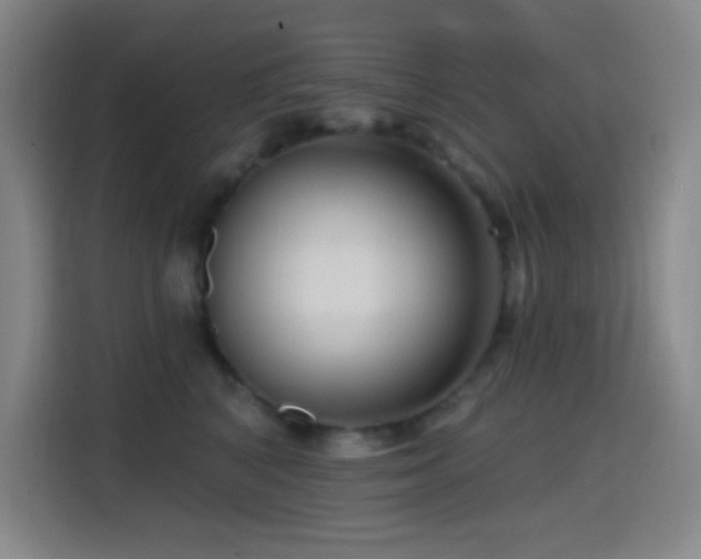X0000114440616200910161356