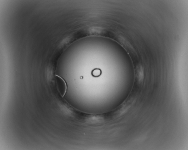 X0000114440619200910161356