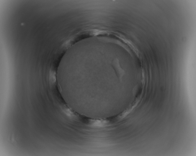 X0000114440621200910161356