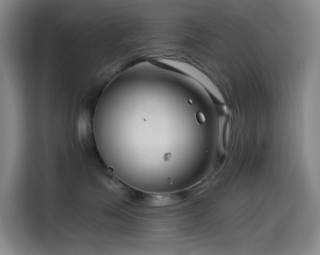 X0000114440623200910161356