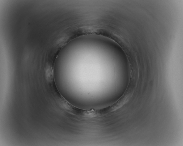 X0000114440624200910161356