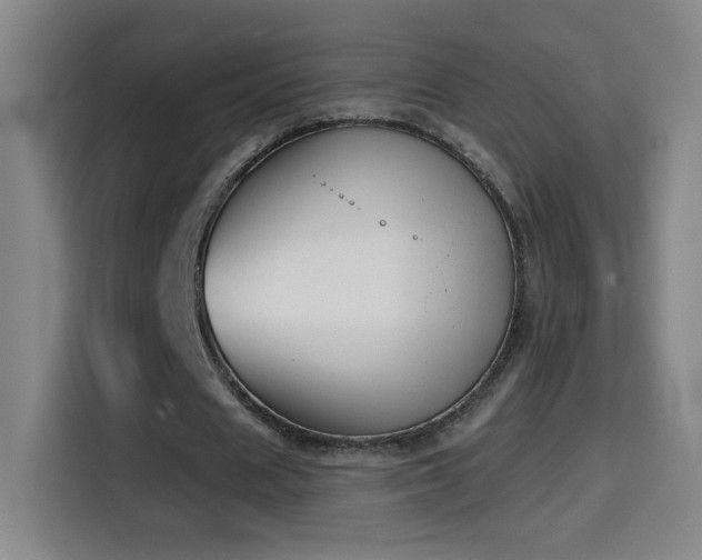 X0000114440625200910161356