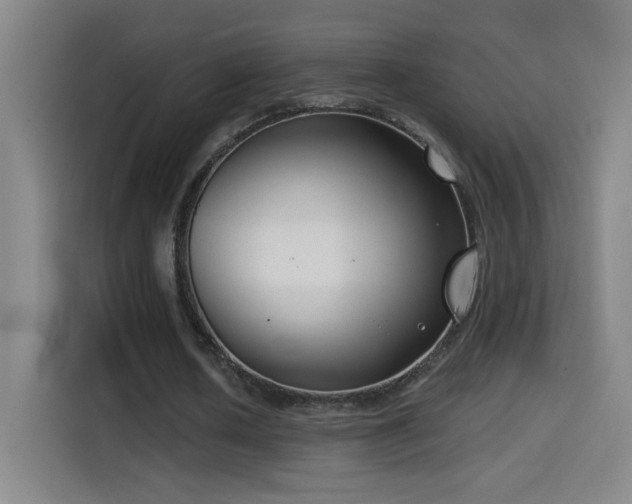 X0000114440626200910161356