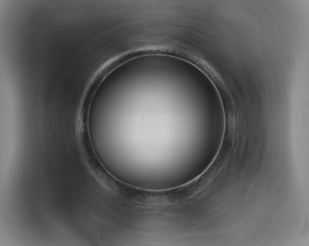 X0000114440628200910161356