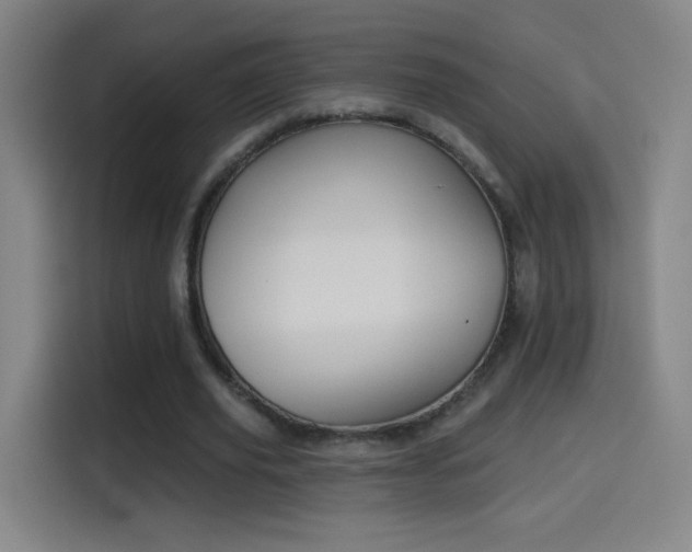X0000114440629200910161356