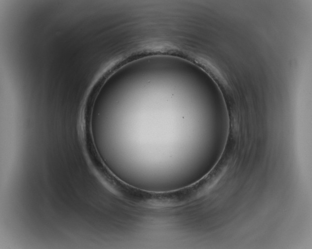X0000114440630200910161356