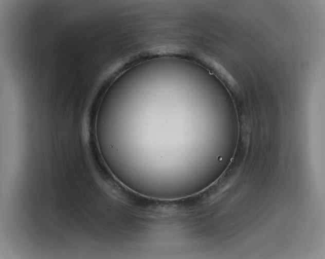 X0000114440631200910161356