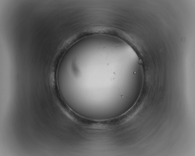X0000114440633200910161356