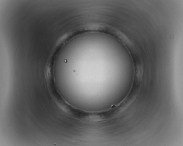 X0000114440636200910161356