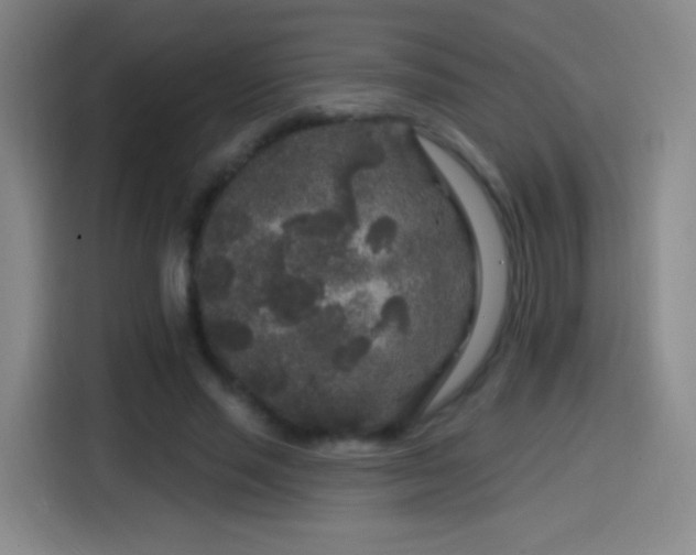 X0000114440637200910161356