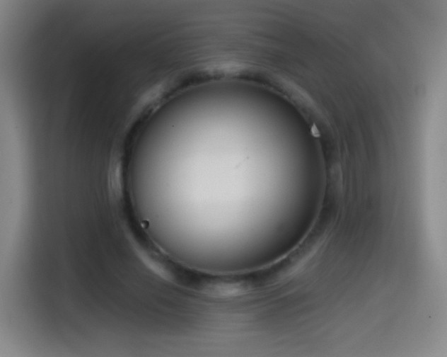 X0000114440638200910161356