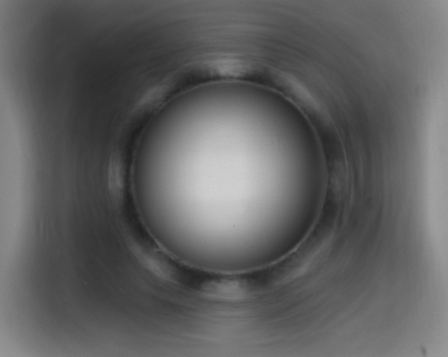 X0000114440639200910161356