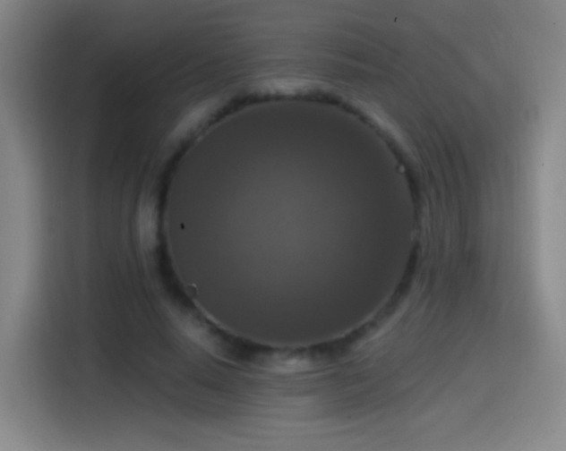X0000114440640200910161356