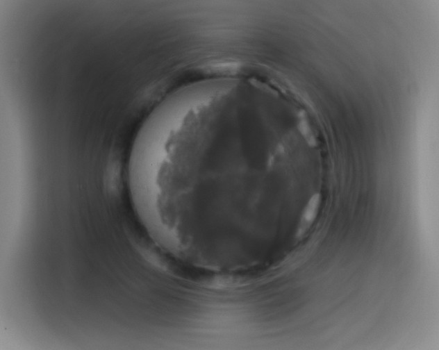 X0000114440641200910161356