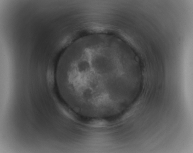 X0000114440642200910161356