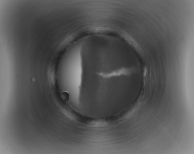 X0000114440644200910161356