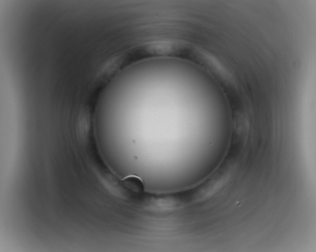 X0000114440645200910161356