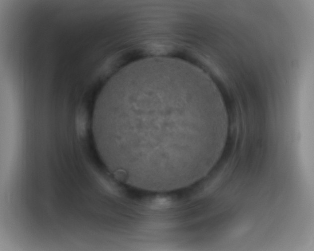 X0000114440647200910161356