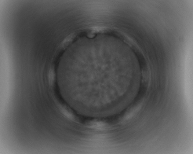 X0000114440648200910161356